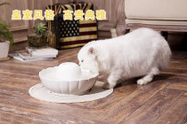 Universal Ceramic-Pet Water Fountain Cat Dog Water Basin Automatic Circulation Electric Water Feeder Fountain Drinking Water