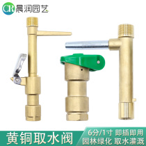 6 minutes DN20 Copper quick water intake valve Greening water fetcher inserts Garden Spray Irrigation Convenient Body Watering Bolt 1 inch DN25