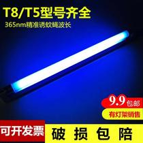 Mosquito killer lamp tube blue purple light Barbara fly extinguishing lamp commercial special matching t5-6w8w mosquito trap tube