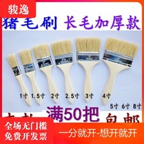 Thickened long hair pig hair brush 1 5 inch bristle paint brush 2 3 4 6 8 half inch clean small brush