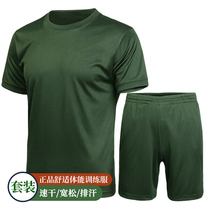 Genuine summer new products can wear short sleeves training T-shirt suit army fan collar-speed dry-shaped coat male