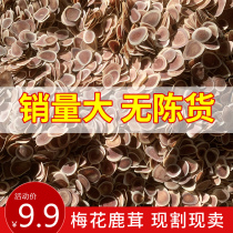 Oriental Regent Shuangyang plum blossom deer blood tablets 5G experience clothing nourishing health nutrition products bubble wine soup