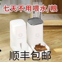 Dog cat water dispenser cat food automatic feeder cat feeding pet drinking water artifact unplugged water feeding supplies