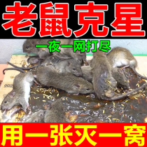 (A sticky nest) sticky mouse board strong adhesive Big Mouse home mouse sticky glue rodent paste