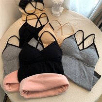 Cat person Finten autumn winter warm lingerie plus suede thickened anti-chill internal hitch undershirt auheating lady harnesses