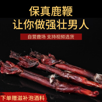 Deer Whip Dry Whole Root of Men Whole Branches Fresh Nourishing Brew of Herbs Jilin Antler Formula Adult Dry Flakes