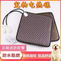 Cat Dog Electric Heating Mat Waterproof Hatching Animal Winter Heating Mat Domestic Cat Dog Small Electric Blanket Pet Electric Heating Mat