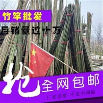 Bundle discount anti-corrosion small bamboo pole bamboo bean cucumber rack vegetable garden rack colorful flag pole thick and thin bamboo pole