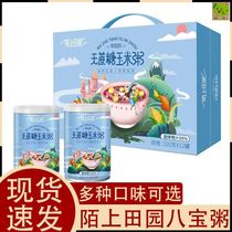 Stranget Fields Garden without cane sugar corn porridge Eight Treasures Congee Meal Nutritious Coarse Grain Combined Ready-to-eat Children Snack 3 One 6 years old