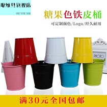 Song Vibe Tin Multi Meat Flower Pot Flower Barrel Toy Barrel Beach Barrel Colorful Ploy Bucket 100 Hitch Mini Candy Color Small Iron