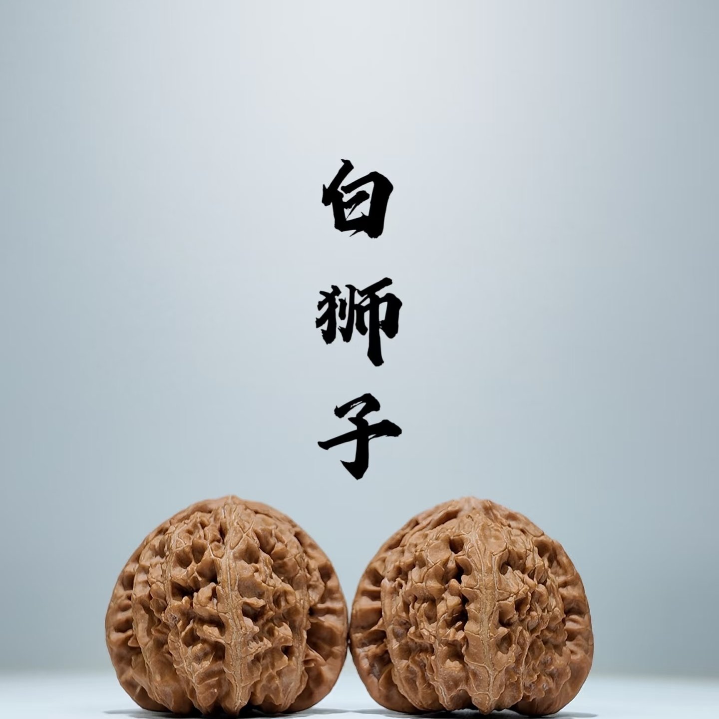 三角白狮子核桃一物一图-三角白狮子核桃一物一图促销价格、三角白狮子