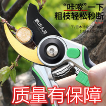 Erizawa Fruit Tree Pruner scissors Horticulture pruned branches landscaping labor-saving prunes of flowers and prunes for home clippers