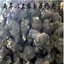 Root Carved Wool with Pear-shaped Bow Material Tree Root Withered Wood Wood Wood Wood Tree Neoplasia Wood Fire Glazed
