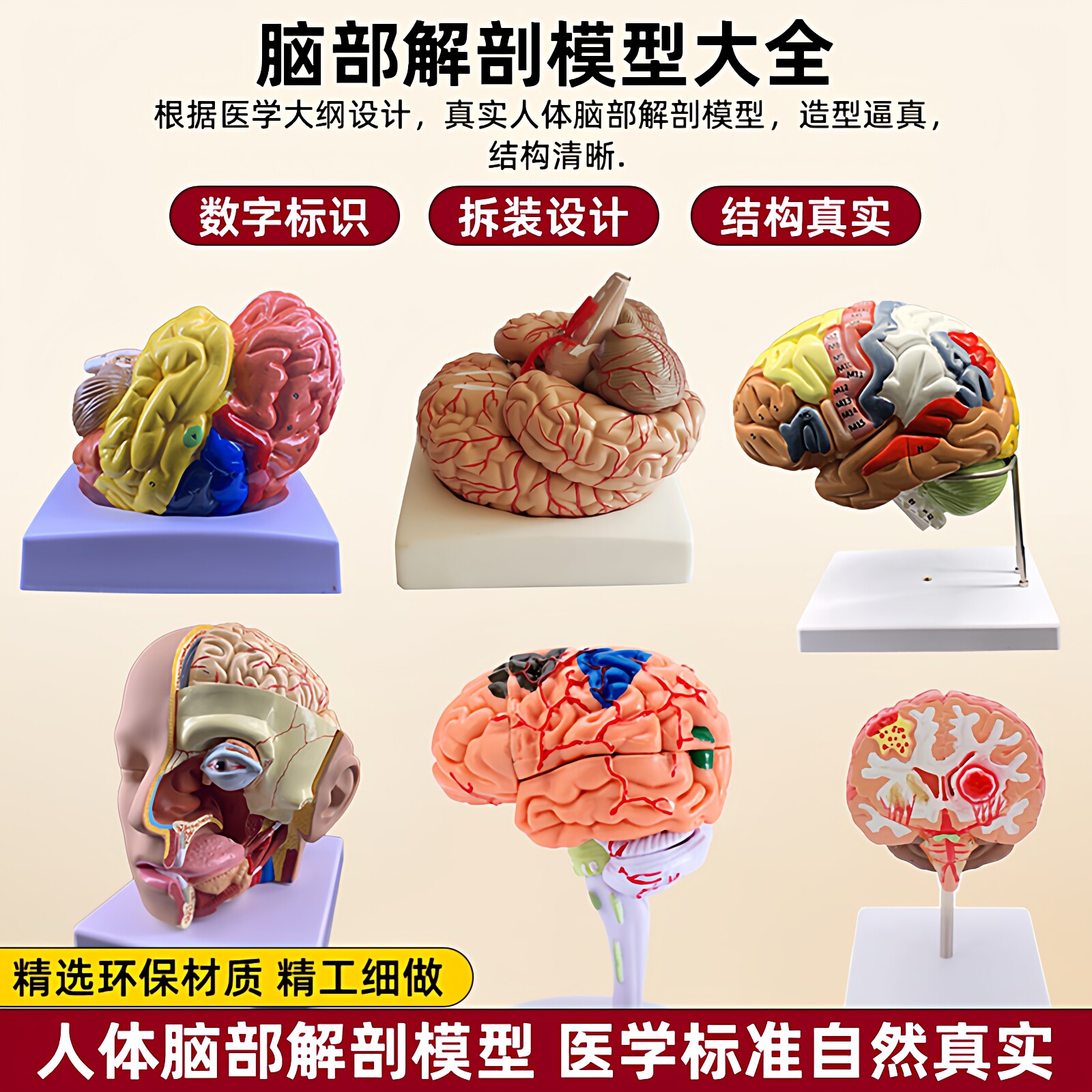 人体模型 超清数字人体模型-超清数字人体模型促销价格、超清数字人体模型品牌- 淘宝