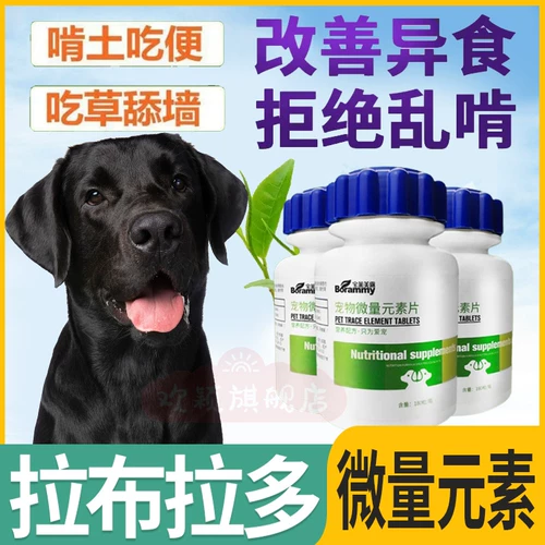 Специальные собаки Лабрадора едят следовые элементы, таблетку, инопланетную пищу, ешьте дерьмо, почва, добавка витамина кальция