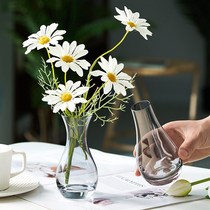 Suit Nordic minimalist ins wind glass vases transparent water Cultivation Flowers Living Room Decorated Flower Arrangement Bottle Hem