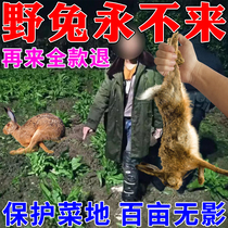 There is no rabbit shadow in a hundred miles) Rabbit repellent artifact vegetable garden farmland special outdoor ultrasonic powerful hare repellent spray