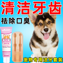 Dog cat toothpaste toothbrush set in addition to bad breath and calculus edible tooth cleaning supplies