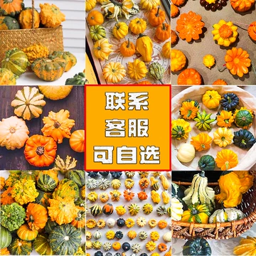 墨西哥葫芦南瓜七彩疙瘩文玩花材摆盘-墨西哥葫芦南瓜七彩疙瘩文玩花材