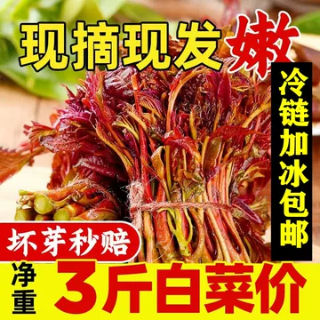 红油香椿芽四川-红油香椿芽四川促销价格、红油香椿芽四川品牌- 淘宝
