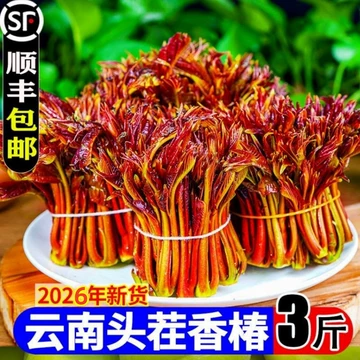 红油香椿芽四川-红油香椿芽四川促销价格、红油香椿芽四川品牌- 淘宝