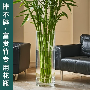 特大号水养竹花瓶-特大号水养竹花瓶促销价格、特大号水养竹花瓶品牌- 淘宝