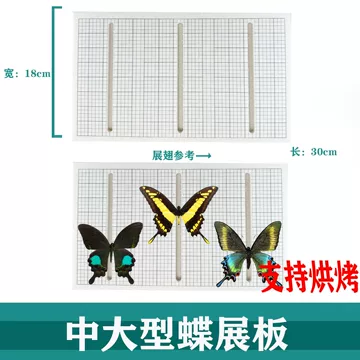 昆虫标本展翅板-昆虫标本展翅板促销价格、昆虫标本展翅板品牌- 淘宝