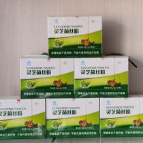 Ganoderma lucidum silk powder Shanxi Ruizhi Ganoderma lucidum silk powder 6 boxes 180 bags new packaging counter