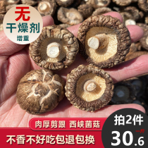 Mushroom Dry Goods Net Heavy No Desiccant Trays Size Optional Bulk Fresh production Dry small winter mushrooms Chanette mushrooms
