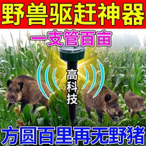 The Beast Beast Farmland Corn Orchard Insect Repellent the Devil Drives the Pigs Drive Squirrel to Scare The Pig Beast Away the Beast.