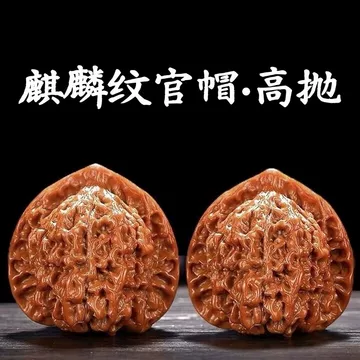【高品質】文玩核桃 老樹赤皮山地 麒麟紋官帽 42mm 官帽麒麟纹核桃-官帽麒麟纹核桃促销价格、官帽麒麟纹核桃品牌- 淘宝
