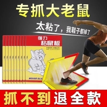 Mouse sticker big size for big mouse Divine Instrumental Stickler Stickler Super Stick Plate Super Stick Plate Plus Bait Glue Post Paper Home