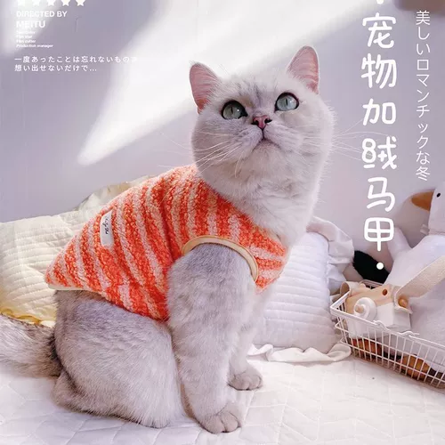 Собака Педант Тедди Корки медведь медведь кошачья кошка -марионетка сине -белая зима теплый плюшевый ветер