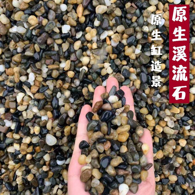 寄居蟹石头-寄居蟹石头促销价格、寄居蟹石头品牌- 淘宝