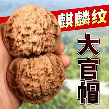 血麒麟纹官帽核桃-血麒麟纹官帽核桃促销价格、血麒麟纹官帽核桃品牌- 淘宝 血麒麟纹官帽核桃-血麒麟纹官帽核桃促销价格、血麒麟纹官帽核桃品牌- 淘宝