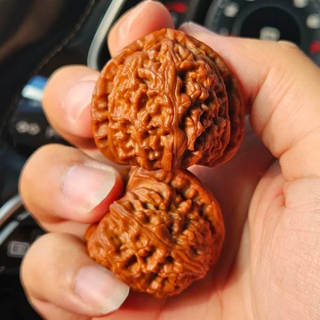 三角白狮子核桃-三角白狮子核桃促销价格、三角白狮子核桃品牌- 淘宝