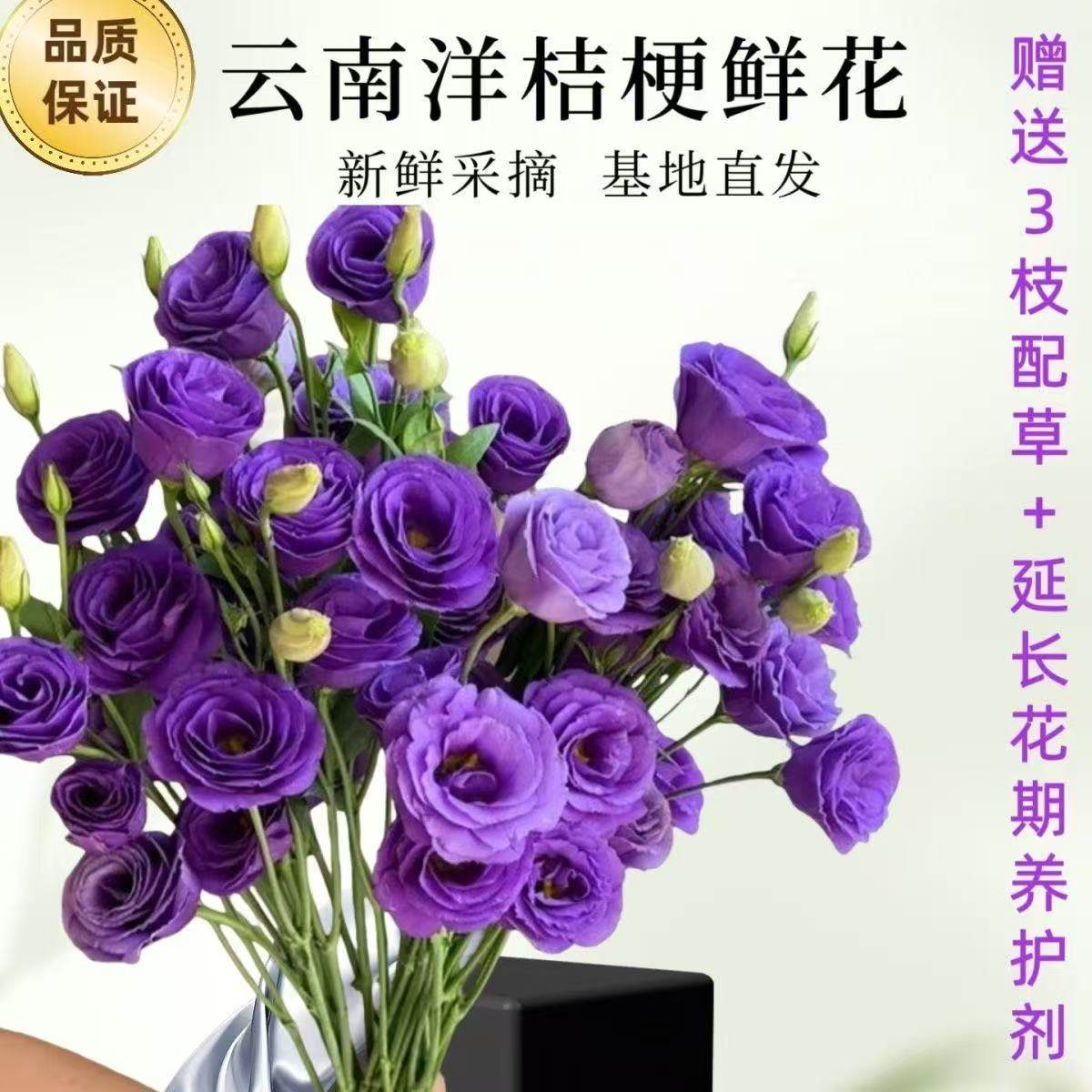 紫色桔梗花-紫色桔梗花促销价格、紫色桔梗花品牌- 淘宝, image size:1200x1200