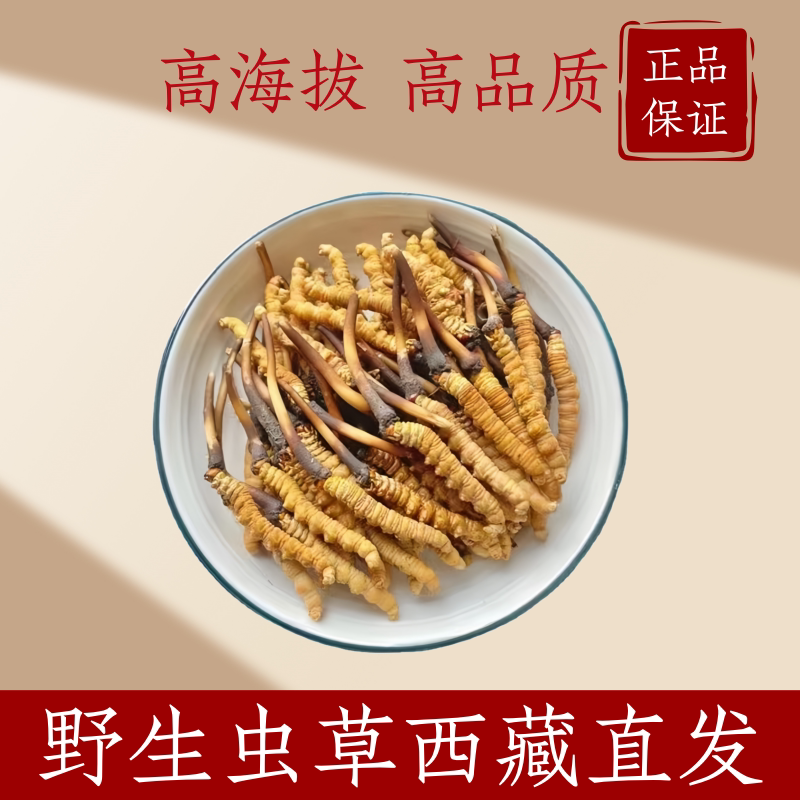 牌冬虫夏草精选和牌冬虫夏草品牌价格与图片-淘宝商品网