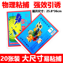 Dachau large fly sticker Strong sticky fly board sticky fly glue Blue household fly trap medicine contains attractant
