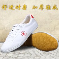  Tai chi shoes Canvas martial arts shoes Mens Tai Chi practice shoes soft-soled tai chi shoes Womens practice cloth shoes