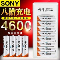 Sony No. 5 No. 7 rechargeable battery toy microphone No. 5 No. 7 rechargeable battery charger large capacity set