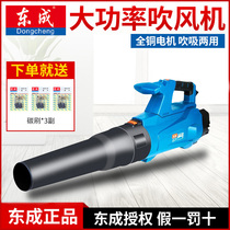 Dongcheng hair dryer electric blower FF-32 25 blow and suction dual-use dust machine Industrial dust collector tools Dongcheng