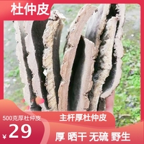 Eucommia pericarp wild 500g special Chinese herbal medicine male wine soup Hunan Zhangjiajie old tree thick skin