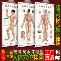 Male acupuncture moxibustion human body Meridian acupoint map large wall map foot whole body Chinese medicine health care massage poster