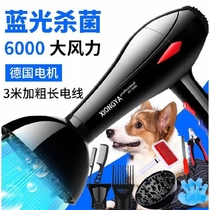 Pet hair dryer High-power large and small dogs bath hair blowing artifact Cat dryer water blower special