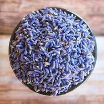 Lavender dry flower grain lavender dry flower 500g bulk bag natural wardrobe aromatherapy car pillow to help sleep Xinjiang