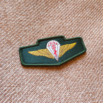 Classic airborne small chest standard skill mark