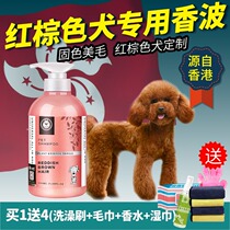 Teddy special shower gel red brown special sterilization deodorization antipruritic golden hair sterilization shampoo dog bath liquid supplies