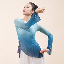 Furu classical dance gauze womens body rhyme costume elegant fairy air jacket Chinese folk dance art test performance