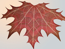 Night in the Maple Forest - stick needle shawl translation illustration non-finished product